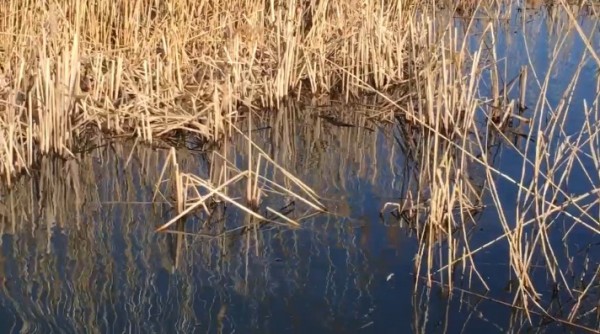 hideup ボンバー ブログ写真 2017/03/05