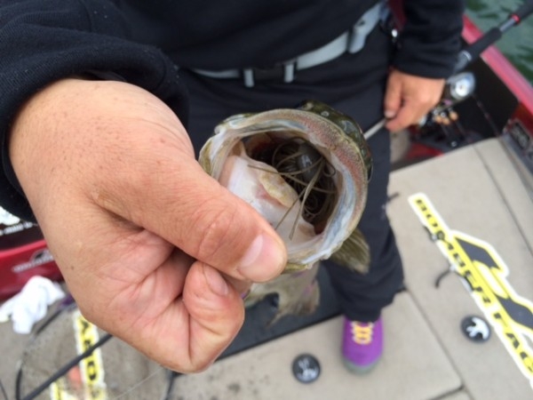 hideup ボンバー ブログ写真 2014/09/09