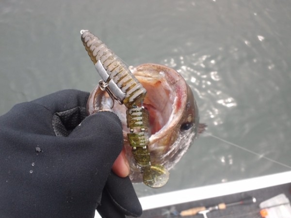 hideup ボンバー ブログ写真 2014/05/01