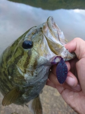 hideup ボンバー ブログ写真 2016/10/18