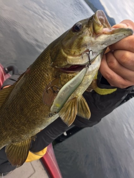 hideup ボンバー ブログ写真 2016/10/01