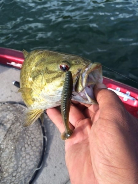 hideup ボンバー ブログ写真 2015/06/05