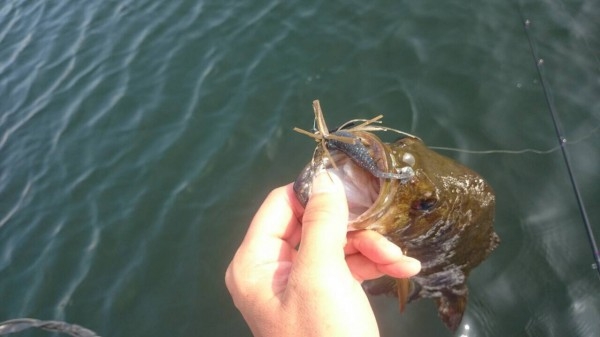 hideup ボンバー ブログ写真 2015/08/05