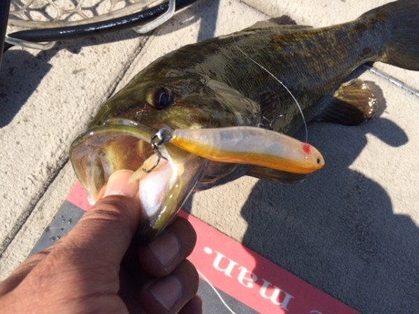 hideup ボンバー ブログ写真 2014/10/11