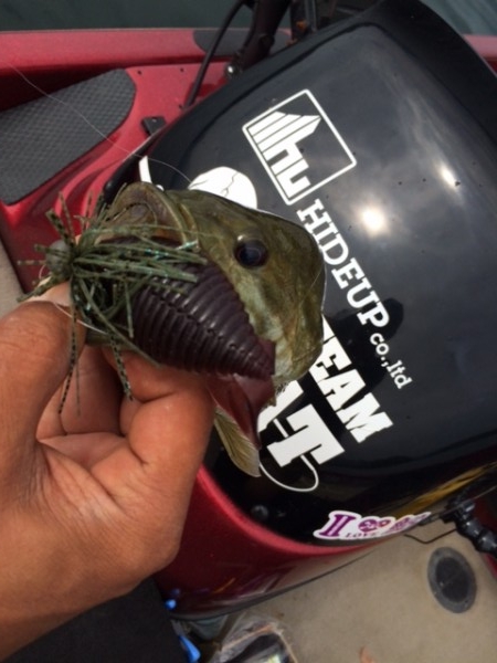 hideup ボンバー ブログ写真 2015/08/12