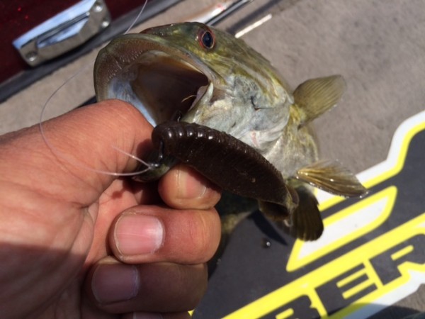 hideup ボンバー ブログ写真 2015/06/05