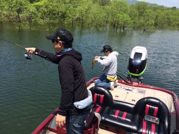 hideup ボンバー ブログ写真 2014/06/02