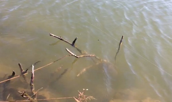 hideup ボンバー ブログ写真 2017/03/05