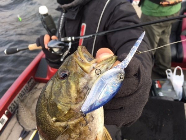 hideup ボンバー ブログ写真 2016/11/04