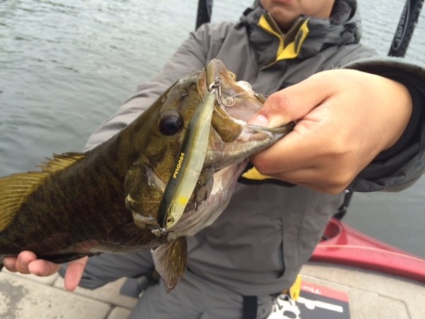 hideup ボンバー ブログ写真 2014/10/03