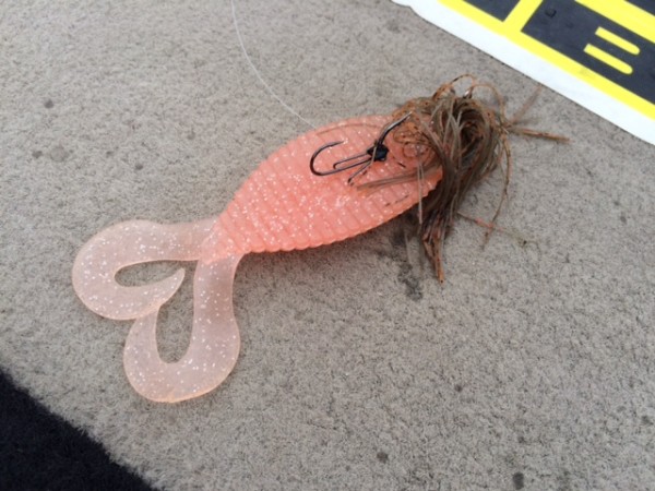 hideup ボンバー ブログ写真 2015/06/12