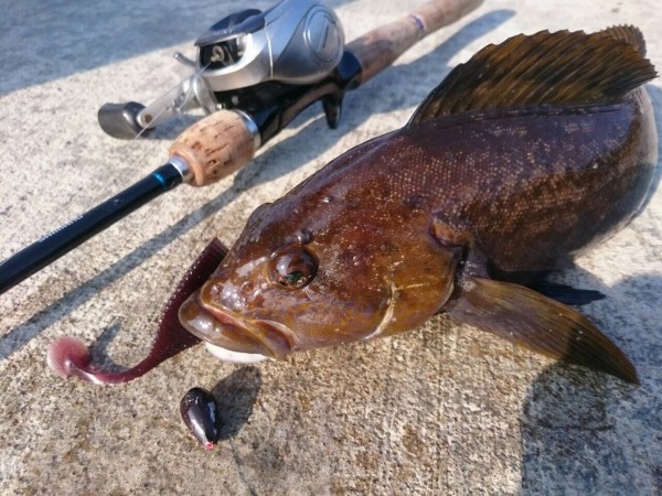 hideup ボンバー ブログ写真 2016/01/05