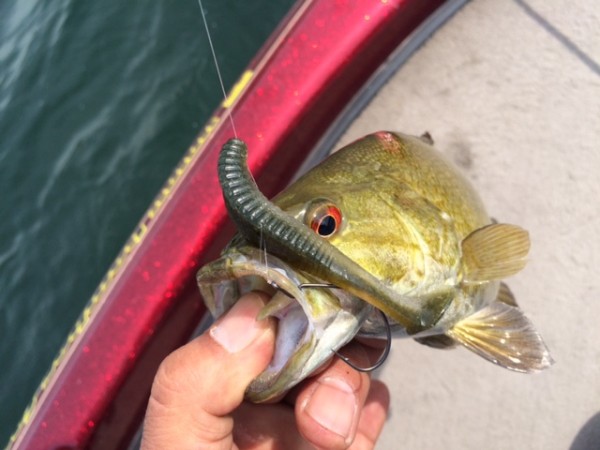 hideup ボンバー ブログ写真 2015/06/05