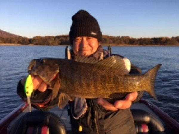 hideup ボンバー ブログ写真 2016/11/05