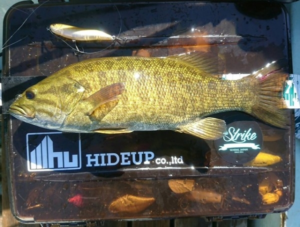 hideup ボンバー ブログ写真 2016/09/06