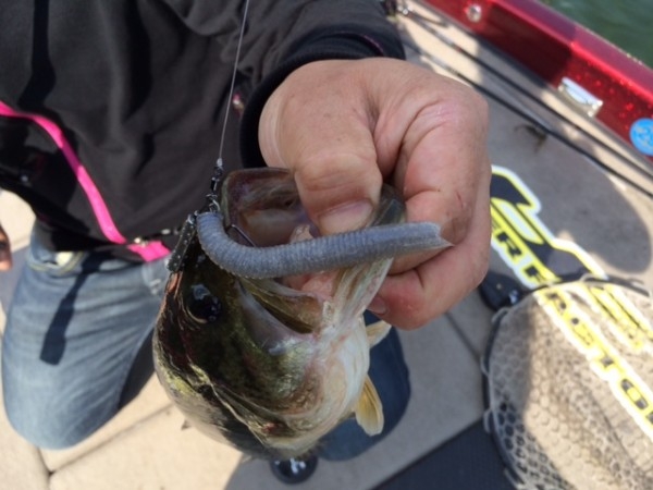 hideup ボンバー ブログ写真 2014/06/02