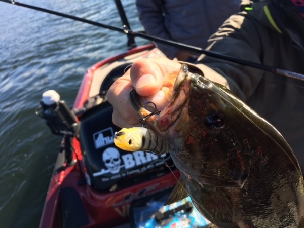 hideup ボンバー ブログ写真 2016/10/01