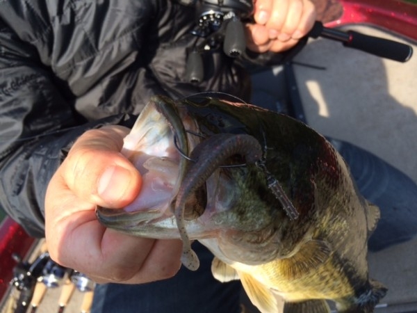 hideup ボンバー ブログ写真 2014/06/02