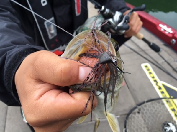 hideup ボンバー ブログ写真 2016/06/14