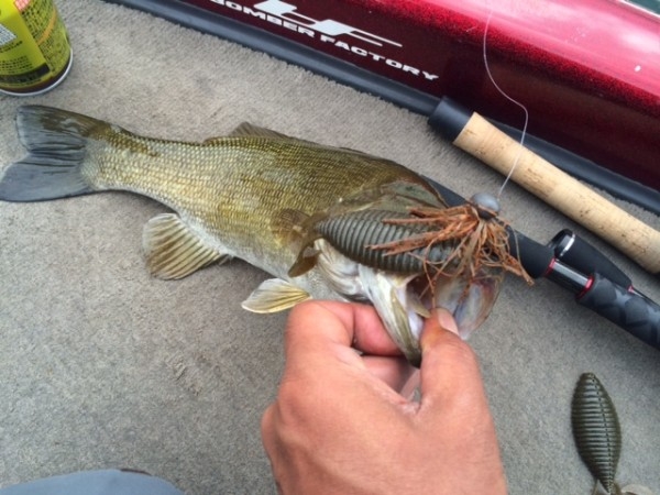 hideup ボンバー ブログ写真 2014/09/09