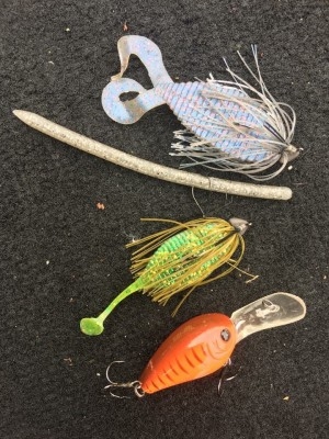 hideup ボンバー ブログ写真 2016/06/07