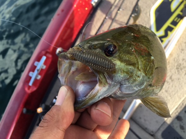 hideup ボンバー ブログ写真 2016/08/05