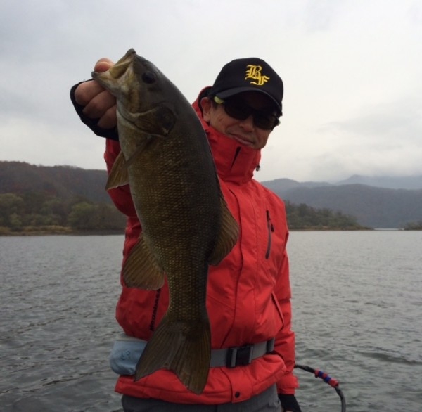 hideup ボンバー ブログ写真 2014/11/03