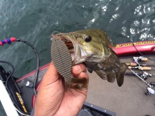 hideup ボンバー ブログ写真 2014/09/09