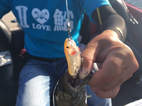 hideup ボンバー ブログ写真 2016/07/21