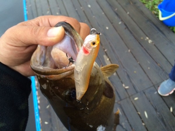 hideup ボンバー ブログ写真 2014/10/07