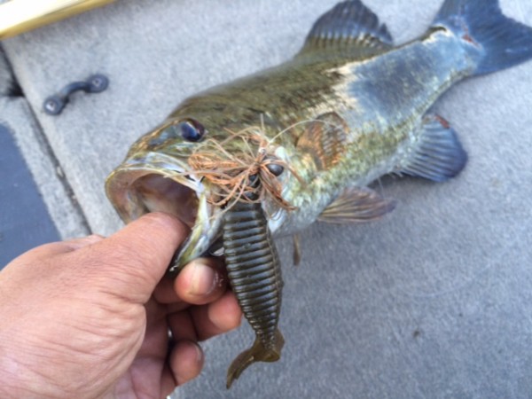 hideup ボンバー ブログ写真 2015/06/06