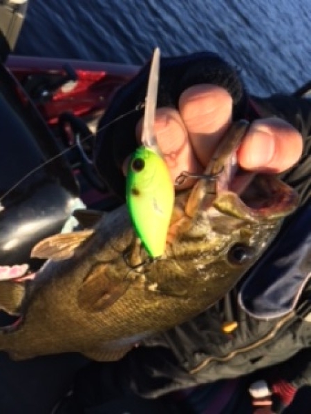 hideup ボンバー ブログ写真 2016/11/05