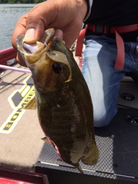 hideup ボンバー ブログ写真 2014/07/10