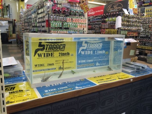 hideup ボンバー ブログ写真 2014/04/08