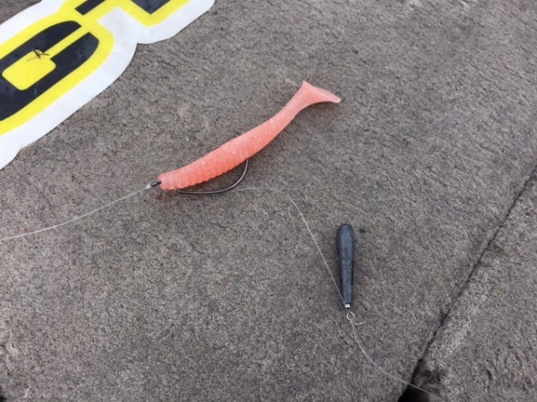 hideup ボンバー ブログ写真 2016/06/21