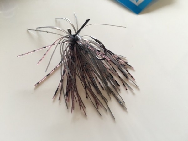 hideup ボンバー ブログ写真 2016/06/09