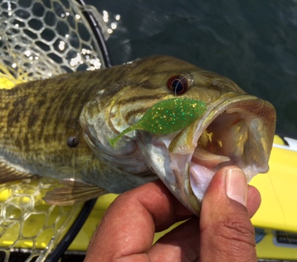 hideup ボンバー ブログ写真 2014/06/02