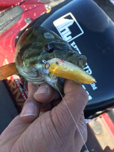 hideup ボンバー ブログ写真 2016/10/14