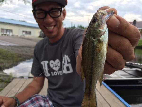 hideup ボンバー ブログ写真 2016/07/02