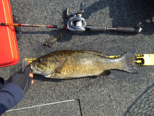 hideup ボンバー ブログ写真 2015/08/07