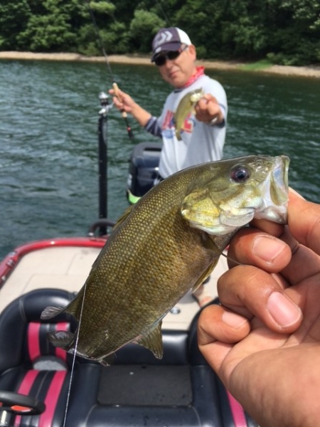 hideup ボンバー ブログ写真 2016/08/08