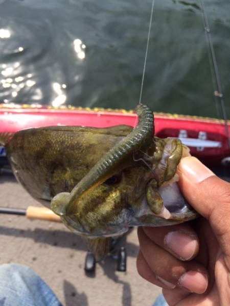 hideup ボンバー ブログ写真 2015/06/05