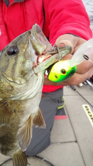 hideup ボンバー ブログ写真 2016/10/23