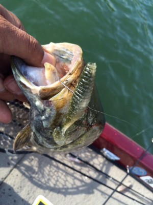 hideup ボンバー ブログ写真 2015/06/05