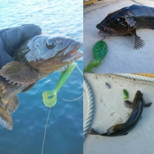 hideup ボンバー ブログ写真 2015/12/19