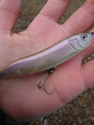 hideup ボンバー ブログ写真 2016/10/11