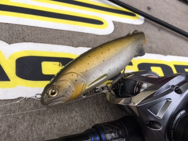 hideup ボンバー ブログ写真 2016/11/07