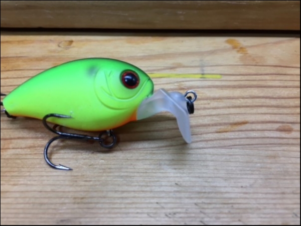 hideup ボンバー ブログ写真 2017/12/23