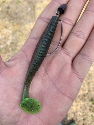 hideup 榎本英俊 ブログ写真 2019/04/06