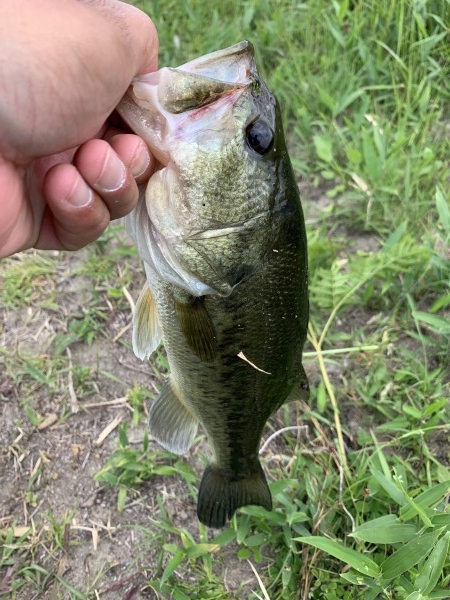 hideup 榎本英俊 ブログ写真 2019/05/06